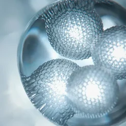 NEW LANCASTER Serums<365 Skin Repair Liposomal Cellular Serum