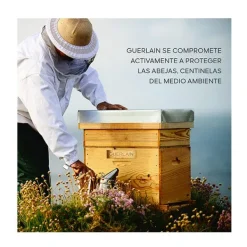 GUERLAIN Contorno Ojos|Hidratantes Faciales<Abeille Royale Crème Yeux