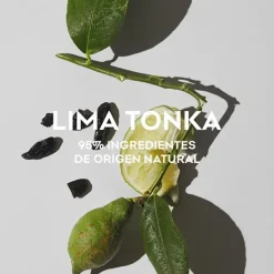 Hot Agua Fresca Lima Tonka Perfumes