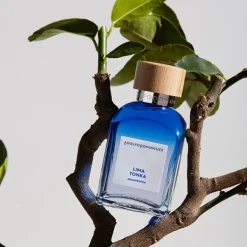 Hot Agua Fresca Lima Tonka Perfumes