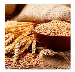 OGX Hidratantes Faciales|Colágeno<Biotin & Collagen