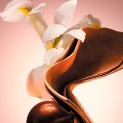 Discount Boss The Scent Le Parfum For Him Perfumes