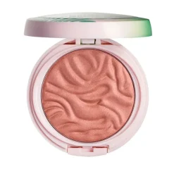 Hot Butter Blush Coloretes