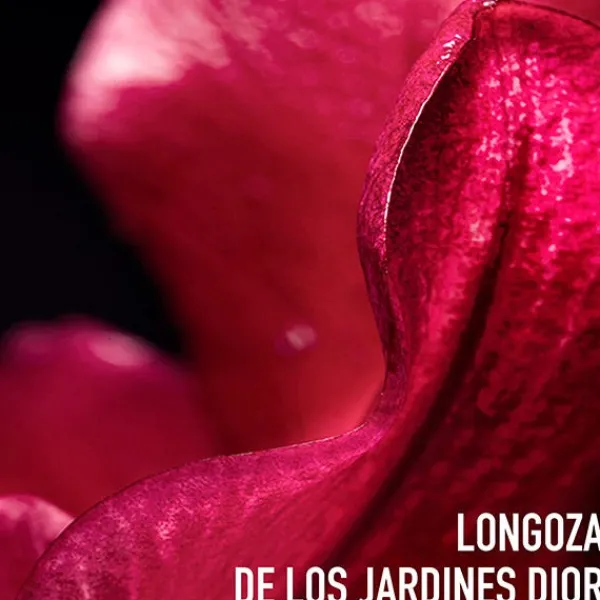 DIOR Contorno Ojos|Hidratantes Faciales<Capture Totale C.E.L.L. ENERGY Contorno De Ojos