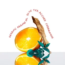 CALVIN KLEIN Perfumes Unisex<Ck Everyone