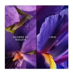 GUERLAIN Estuches Mujer|Hidratantes Faciales<Cofre Insolence