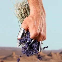 Hot Cofre K By D&G Eau De Toilette Estuches Hombre