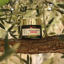 LA PROVENÇALE BIO Antiedad|Ecocert<Crema De Juventud Anti-Arrugas