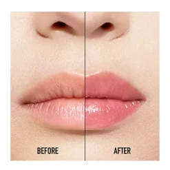 Best Addict Lip Maximizer Gloss De Labios