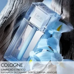 Best Homme Cologne Perfumes