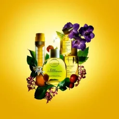 CLARINS Hidratantes<Eau Extraordinaire