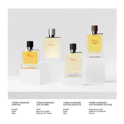 HERMÈS Perfumes<Eau Intense Vétiver