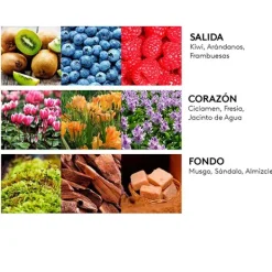 Sale Estuche Fruity Estuches Mujer