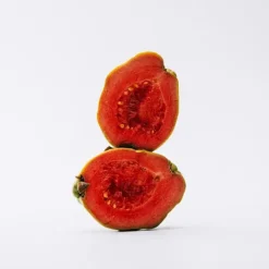 Sale Estuche Solo Estuches Hombre