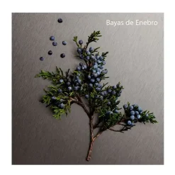 Discount Eternity Aromatic Essence Perfumes