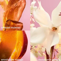 RABANNE Línea Perfumada|Hidratantes Faciales<Fame Body Lotion