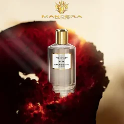 MANCERA PARIS Premium Hombre<Fig Extasy