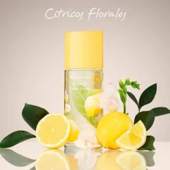 ELIZABETH ARDEN Hidratantes Faciales<Green Tea Citron