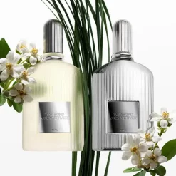 Best Grey Vetiver Perfumes