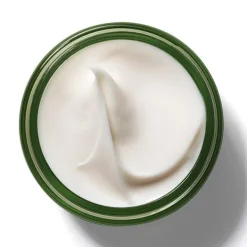 ORIGINS Antiedad<Hidratante Antiedad SPF 40 Te Blanco