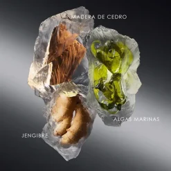 ISSEY MIYAKE Perfumes<Le Sel