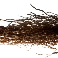 Discount L'homme Perfumes