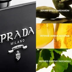 Best L'homme Intense Perfumes