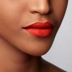 Outlet Lip Maestro Pintalabios