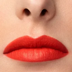 Outlet Lip Maestro Pintalabios