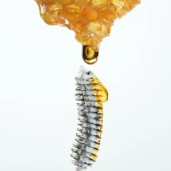 GUERLAIN Primer De Pestañas|Serum Pestañas<Noir G Bee Primer