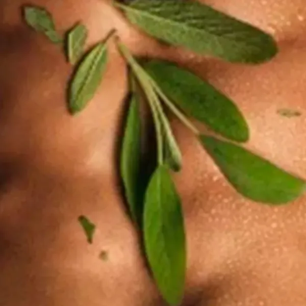 DIESEL Perfumes<Only The Brave