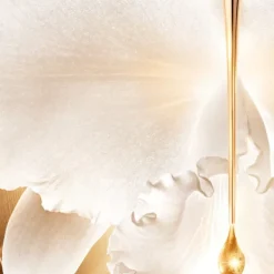 GUERLAIN Hidratación<Orchidée Impériale Gold Nobile La Crema