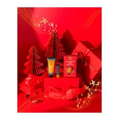 APIVITA Bálsamos Labiales|Manos<Pack Winter Wonder Honey