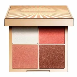 CLARINS Profesional<Palette Aall-In-One
