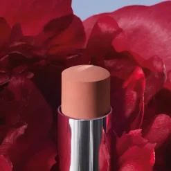 Clearance Rouge Forever Pintalabios