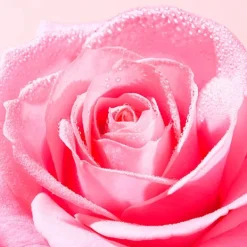 NUXE Voluminizadores|Hidratantes Faciales<Serum Voluminizador De Labios