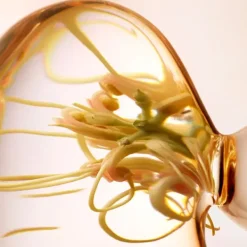 LANCASTER Limpieza|Hidratantes Faciales<Skin Essentials Refreshing Express Cleanser