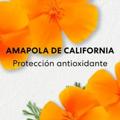 Clearance Skinlongevity Long Life Herb Serum Serums