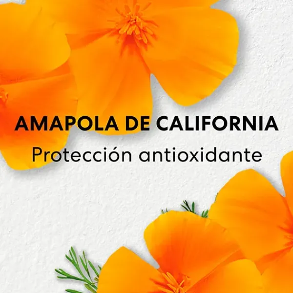 Clearance Skinlongevity Long Life Herb Serum Serums