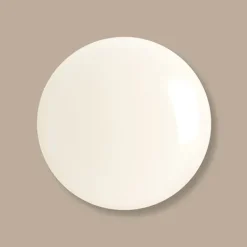 Clearance Skinlongevity Long Life Herb Serum Serums