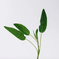 Online Solo Vulcan Perfumes