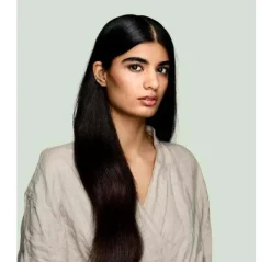 MARIA NILA Champús<Structure