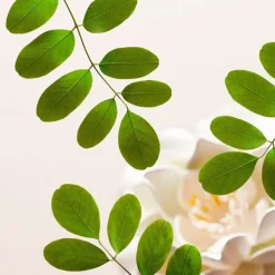 RITUALS Limpieza|Espuma Limpiadora Facial<The Ritual Of Namaste Purify Gentle Cleansing Foam