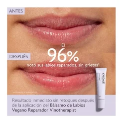 CAUDALIE Bálsamos Labiales|Labios<Vinotherapist
