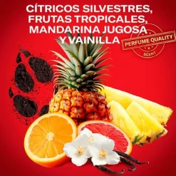 OLD SPICE Hidratantes Faciales|Para Mujer<Wolfthorn