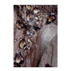 Sale Wood Essence Perfumes