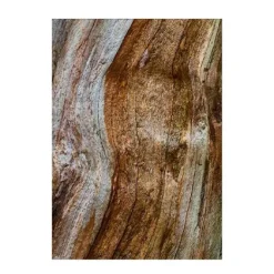 Sale Wood Essence Perfumes